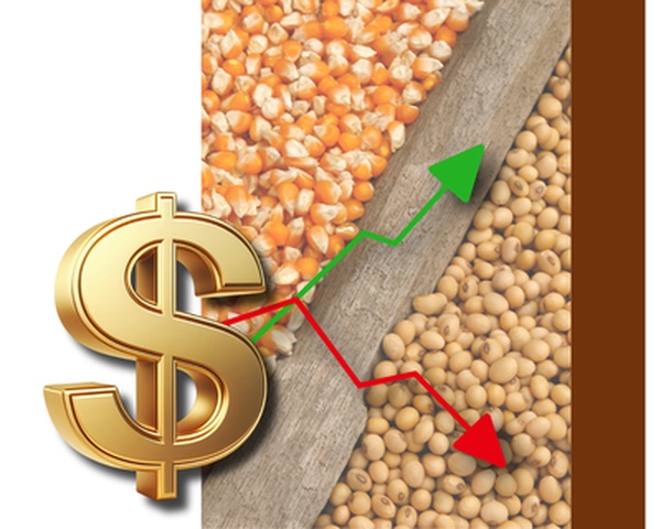 ComportamentoPrecosAgricolas
