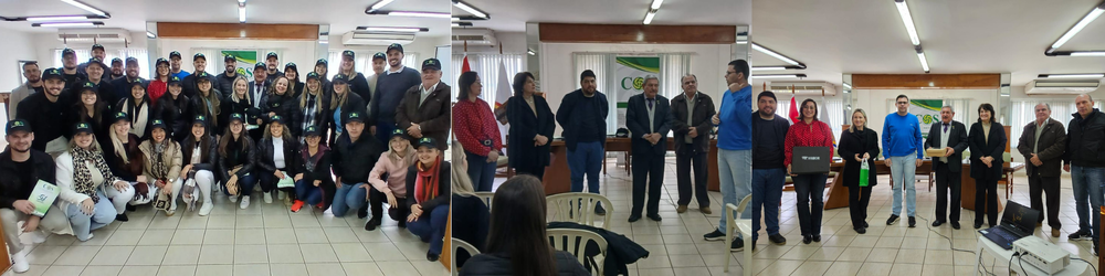 Design sem nome (37).png