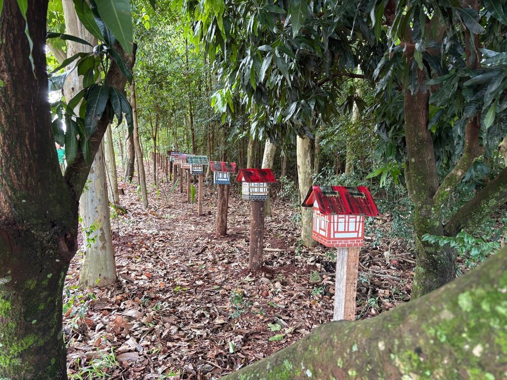 WhatsApp Image 2025 12 30 at 16.37.28