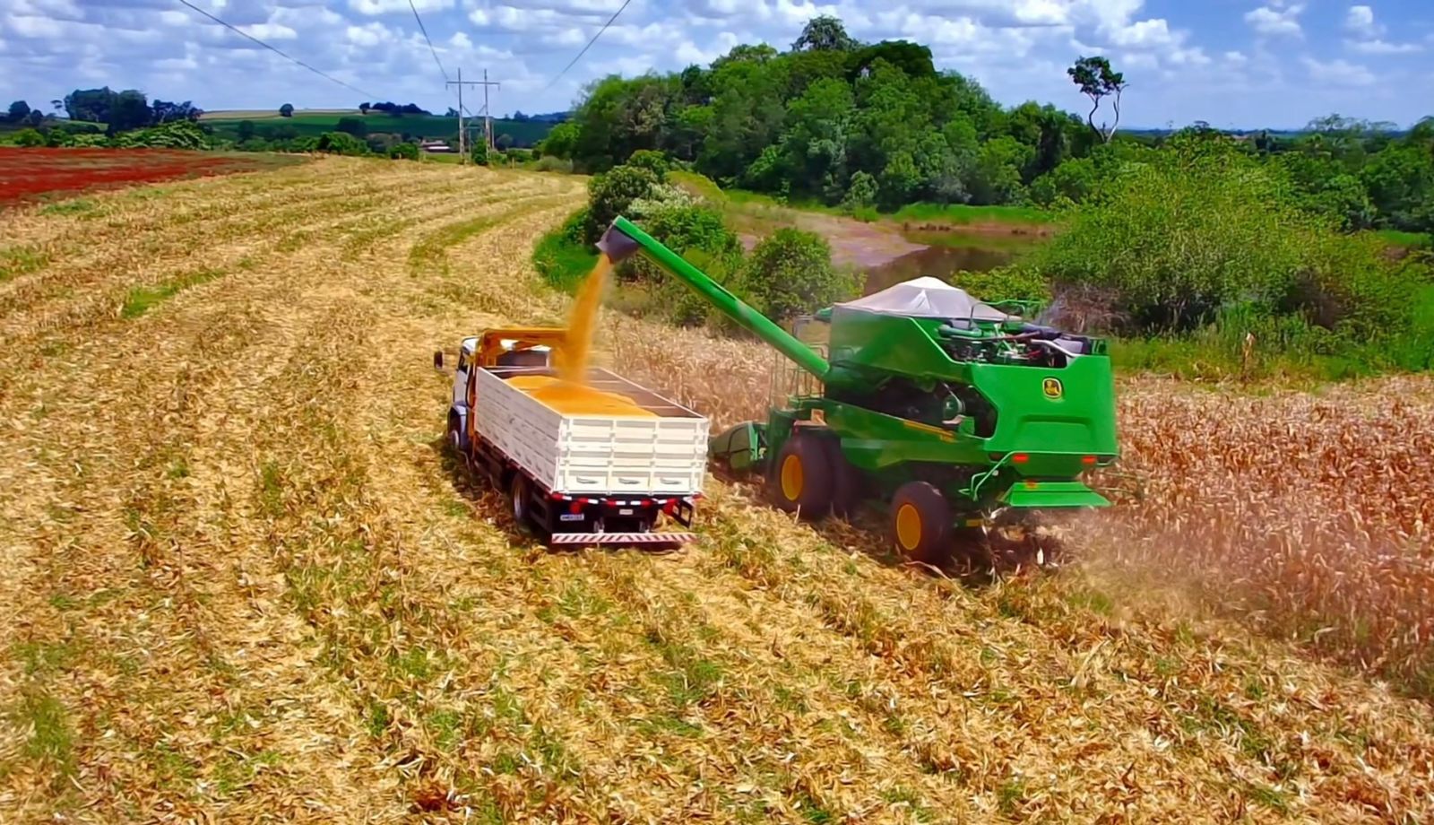 WhatsApp Image 2026 02 10 at 23.25.07