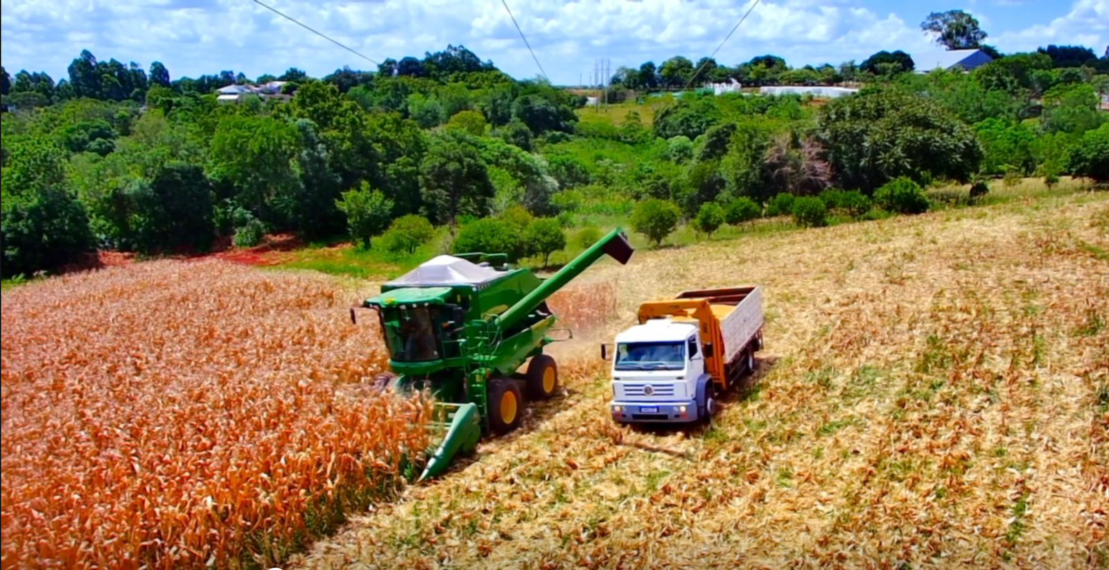 WhatsApp Image 2026 02 10 at 23.25.07 1