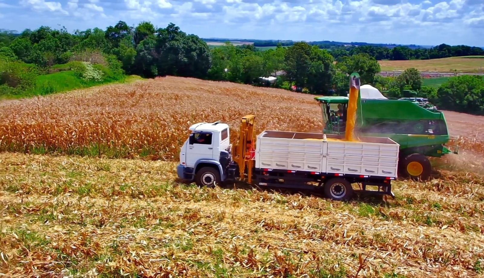 WhatsApp Image 2026 02 10 at 23.25.07 2